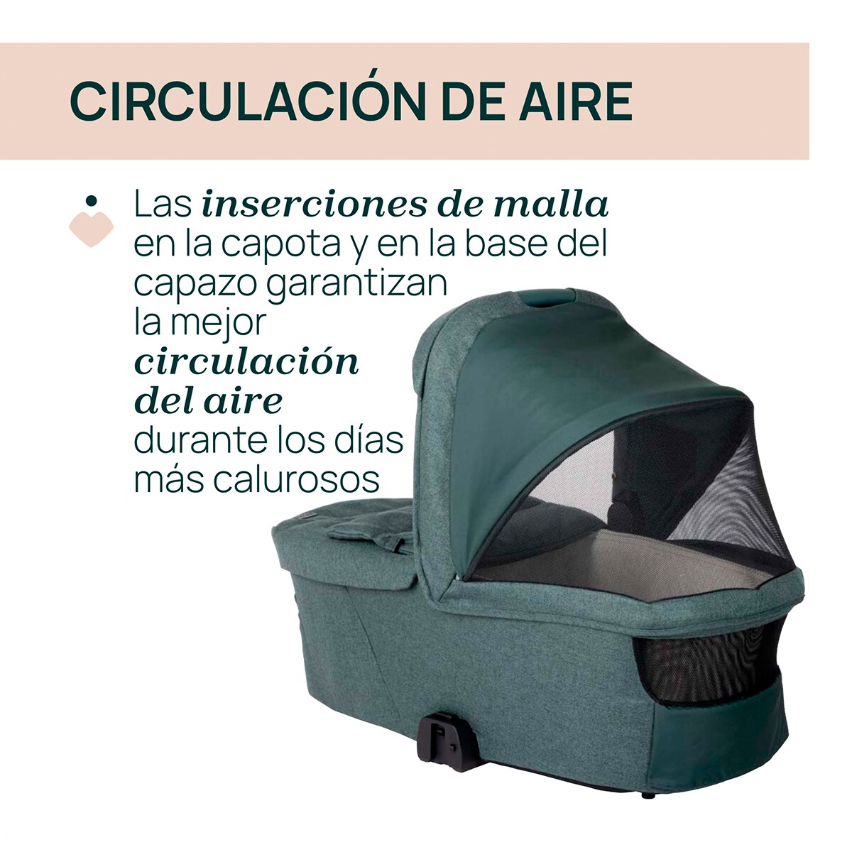 Alcofa Flexi Verde-5