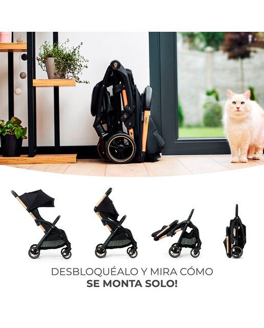 Carrinho de Passeio Apino Preto-2