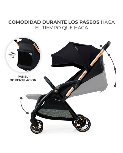Carrinho de Passeio Apino Preto-6