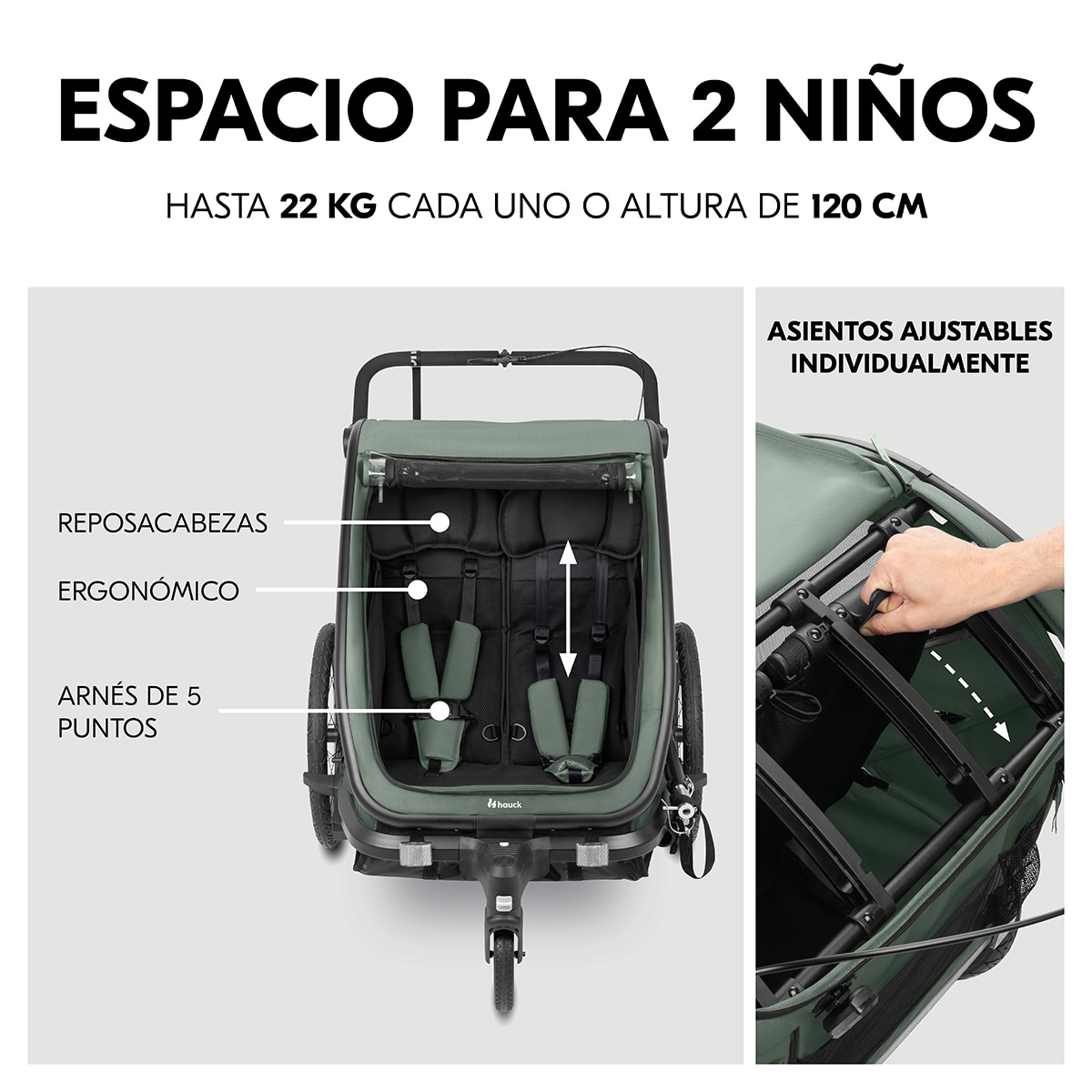 Remolque Bicicleta 3 en 1 Hauck Bike N Walk Duo Verde oscuro Verde oscuro-5