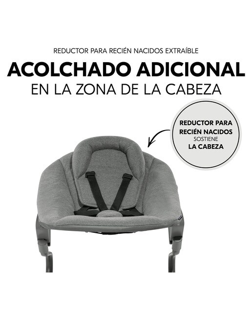 Espreguiçadeira Alpha+ Bouncer Premium Cinzento-escuro-6