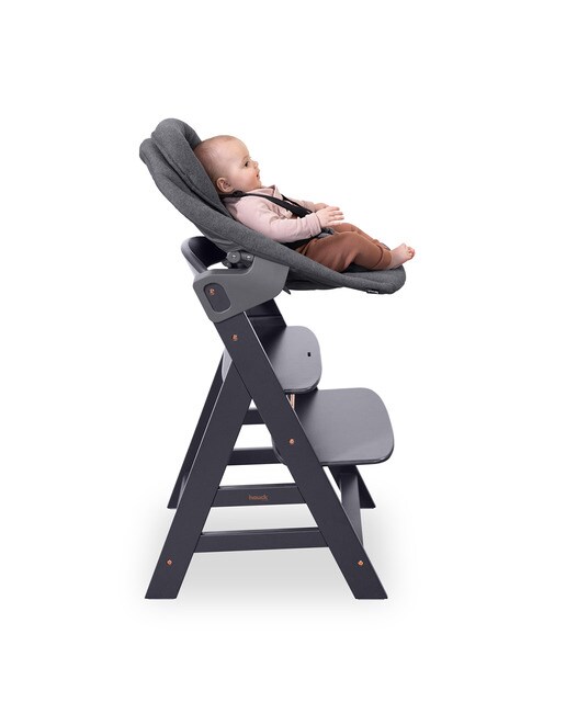 Espreguiçadeira Alpha+ Bouncer Premium Cinzento-escuro-11