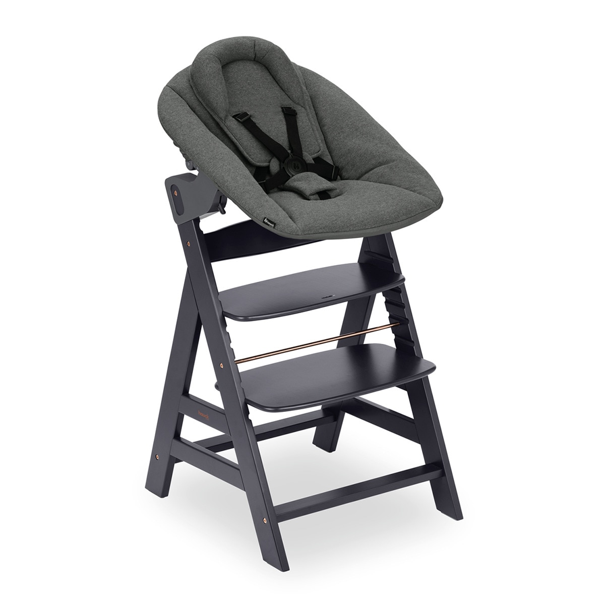 Imagem 0 de Cadeira de Refeição Evolutiva Alpha Newborn Set Plus