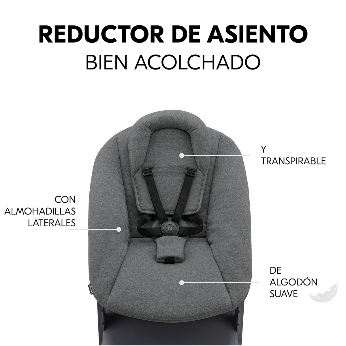 Cadeira de Refeição Evolutiva Alpha Newborn Set Plus Cinzento-escuro-6