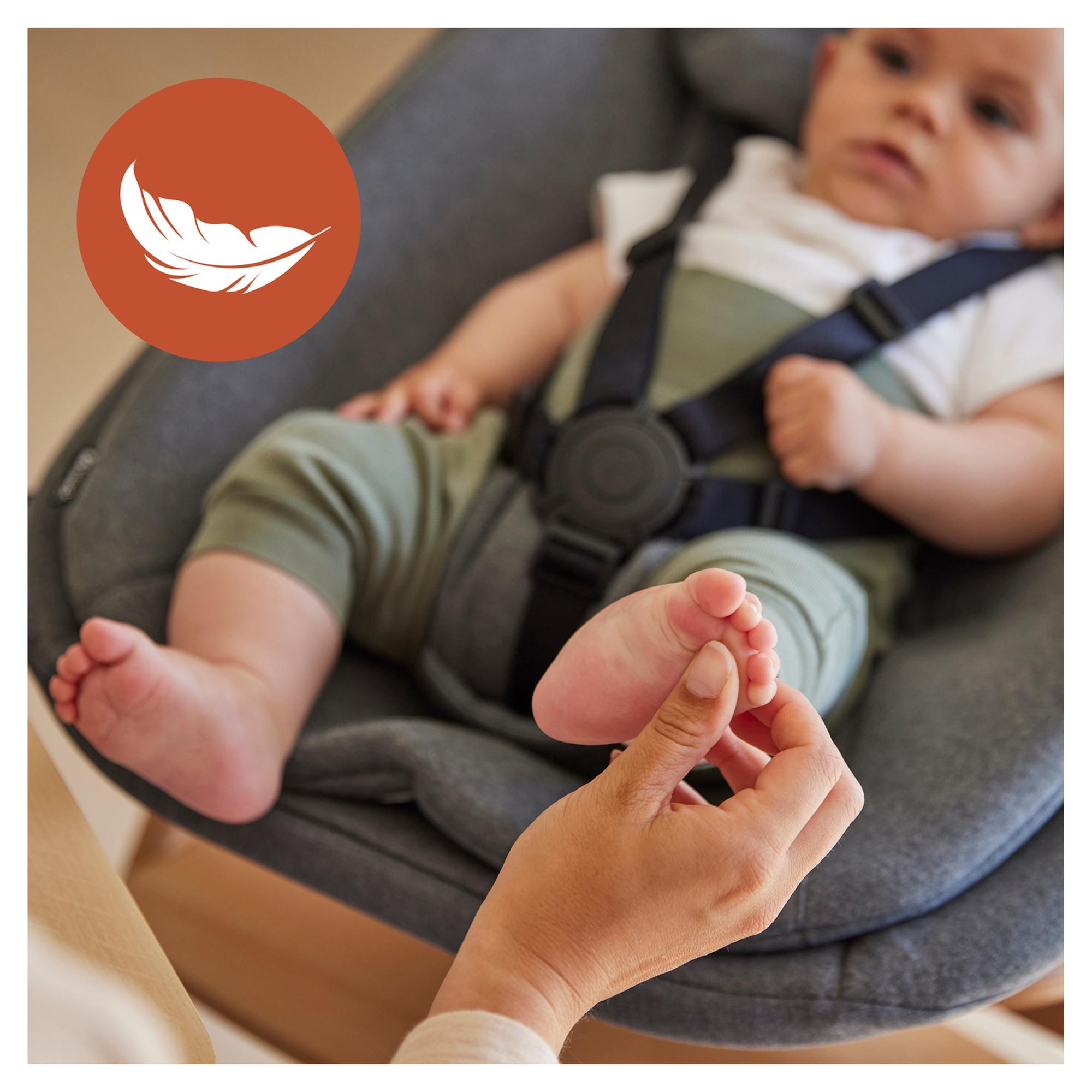 Conjunto de Cadeira de Refeição Evolutiva Alpha Newborn Pro Natural-6