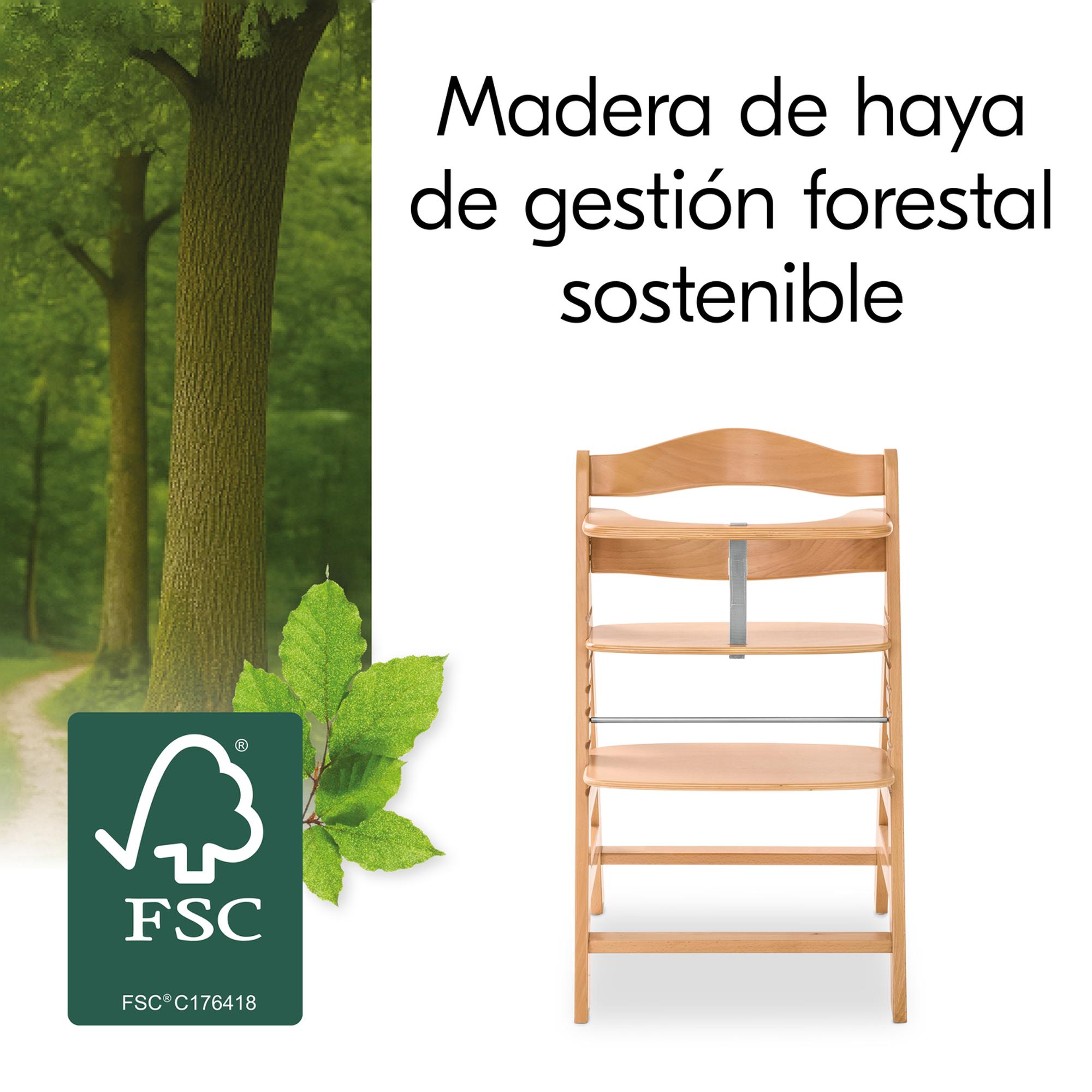 Conjunto de Cadeira de Refeição Evolutiva Alpha Newborn Pro Natural-8