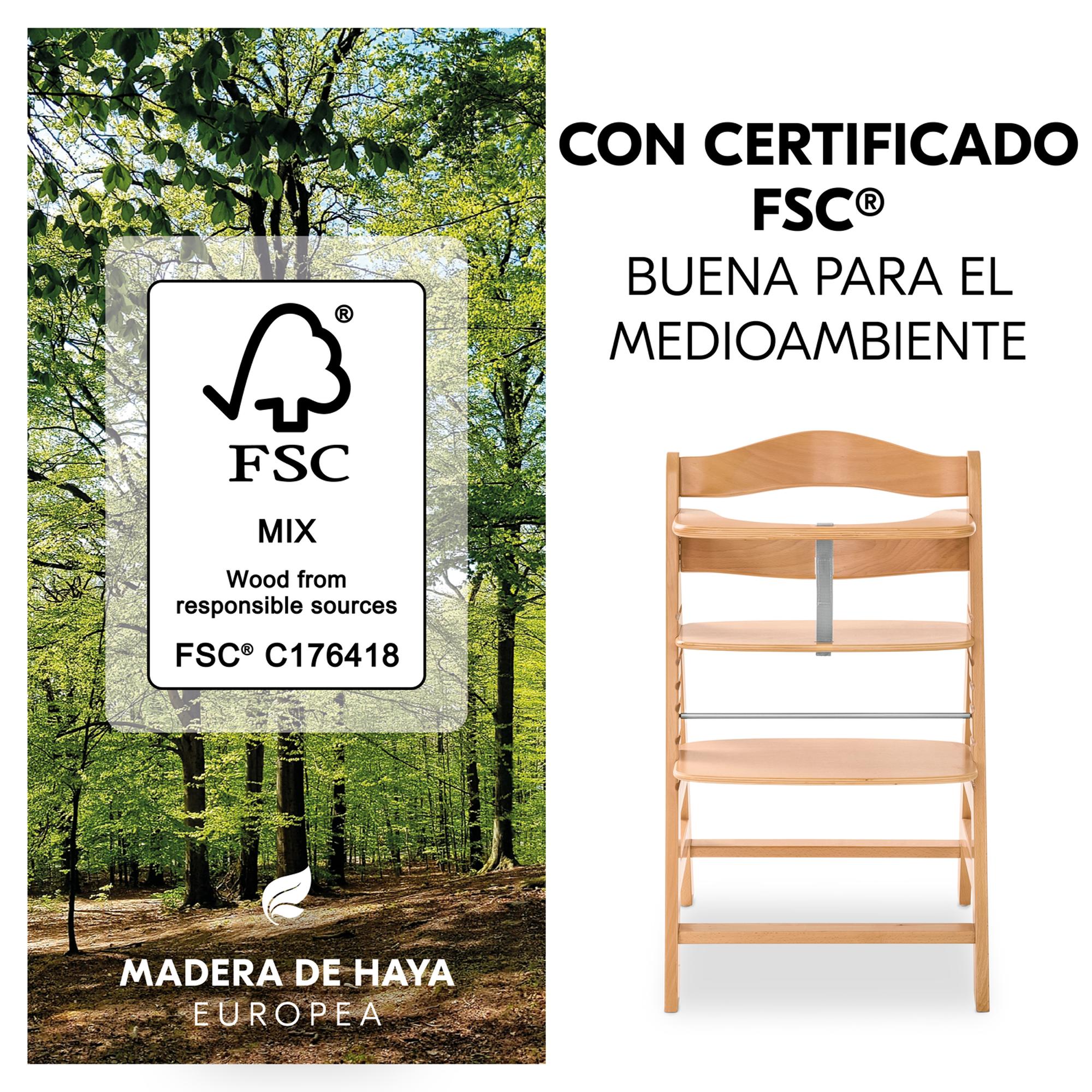 Conjunto de Cadeira de Refeição Evolutiva Alpha Newborn Pre Natural-6