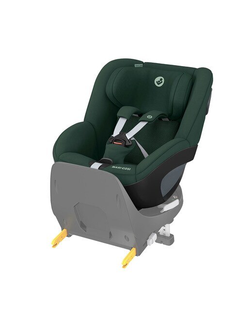 Gr0+/1 Pearl 360 - Verde Verde-4