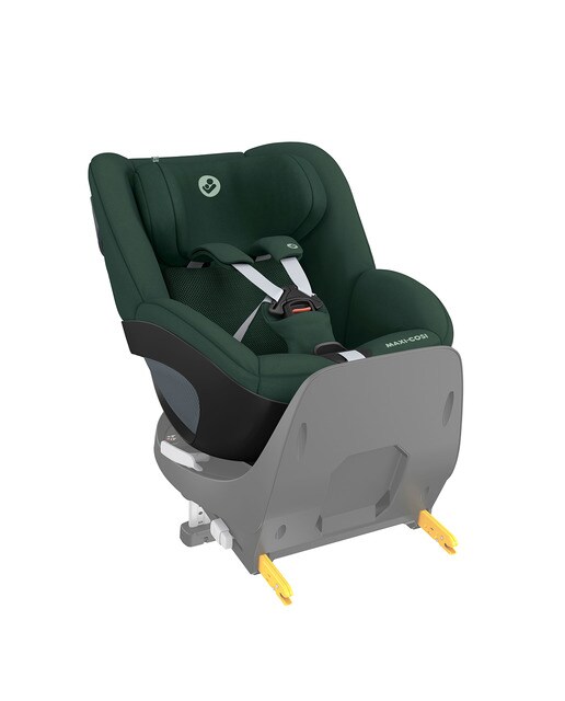 Gr0+/1 Pearl 360 - Verde Verde-5