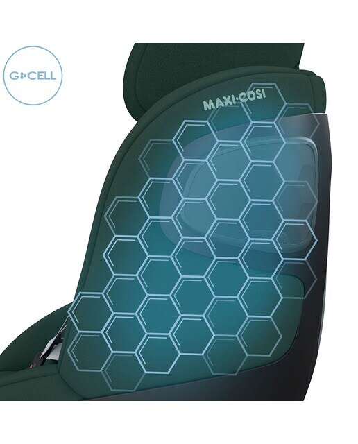 Gr0+/1 Pearl 360 - Verde Verde-10