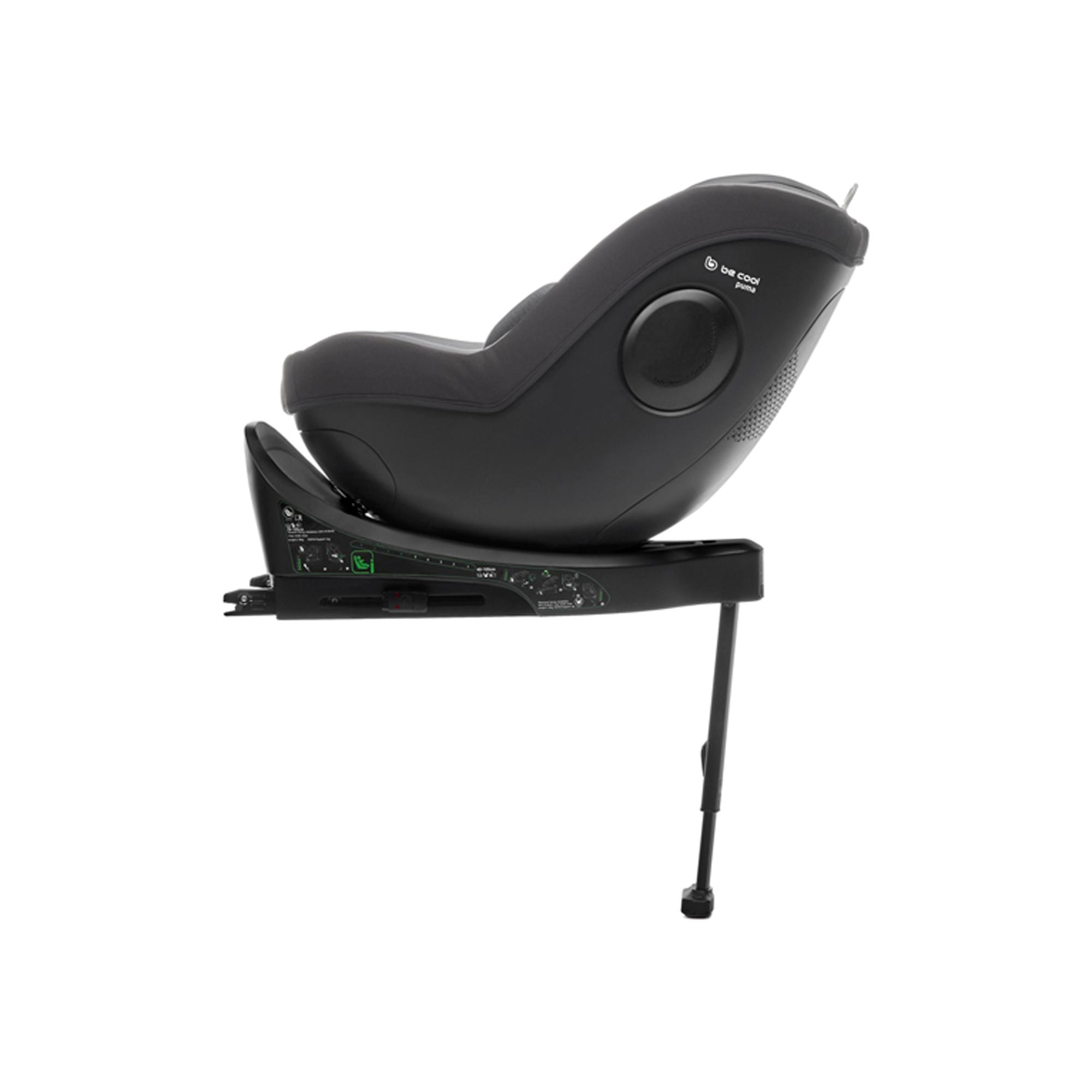 Cadeira Auto Puma (i-Size 40 - 105 cm) Cinzento-claro-7