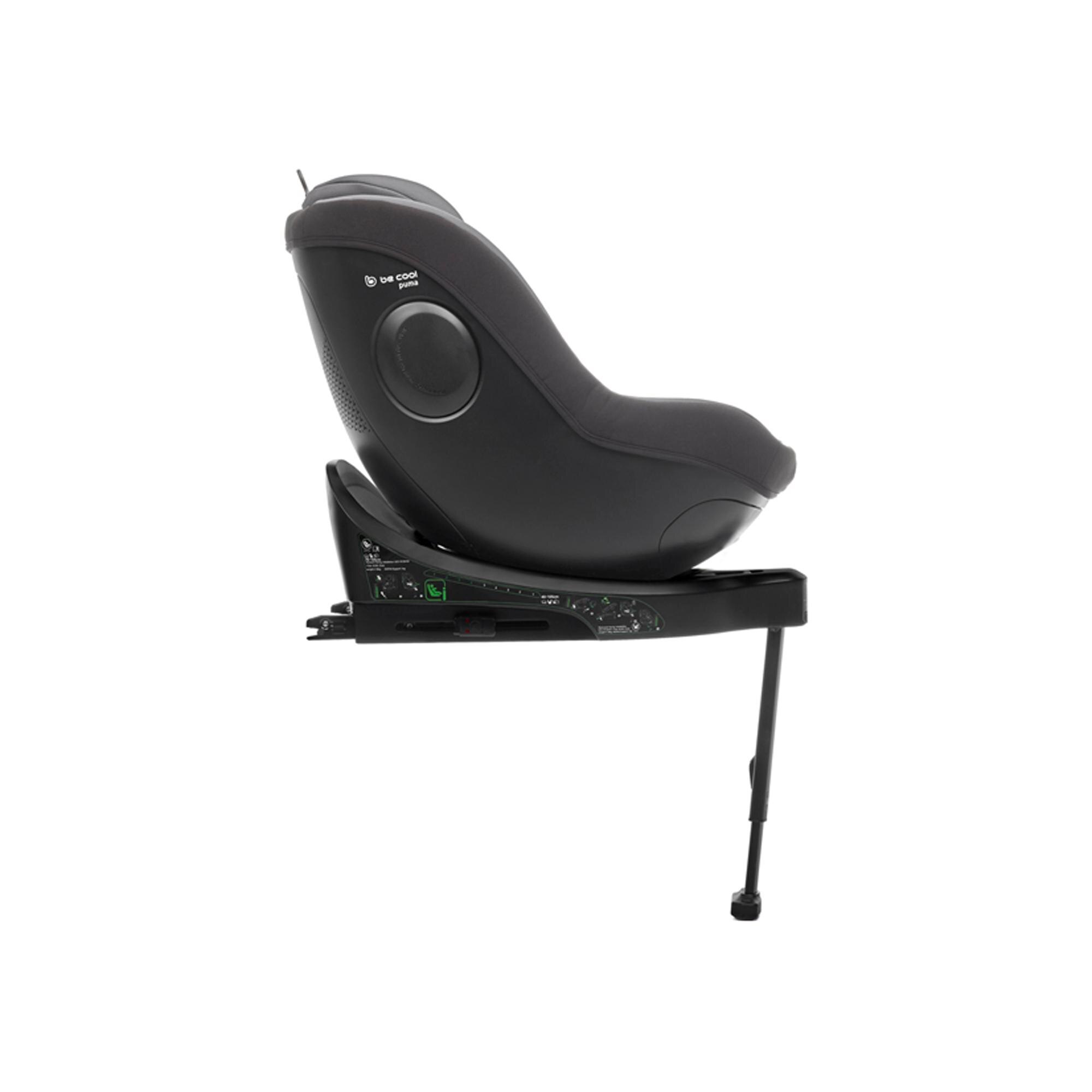 Cadeira Auto Puma (i-Size 40 - 105 cm) Cinzento-claro-8