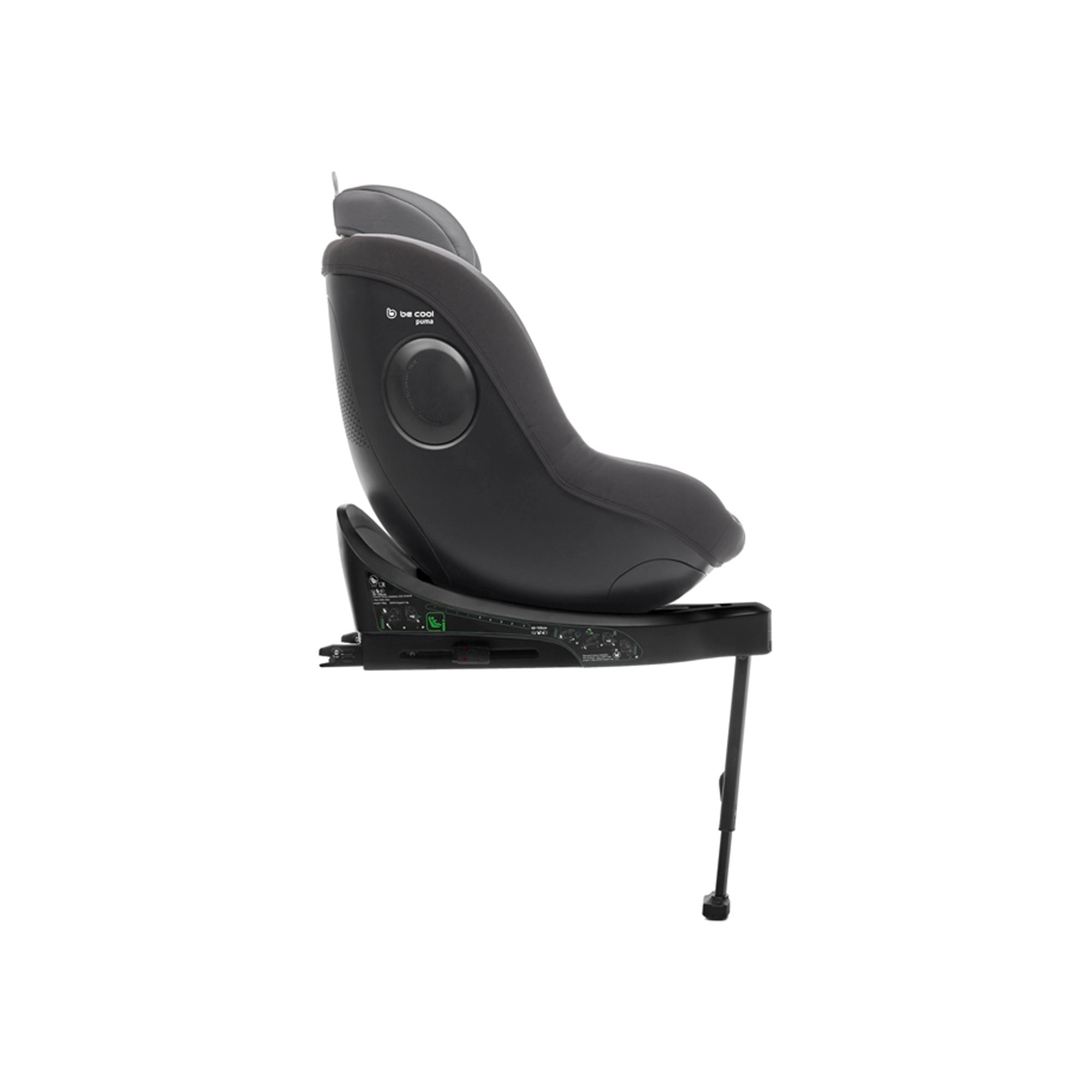 Cadeira Auto Puma (i-Size 40 - 105 cm) Cinzento-claro-9