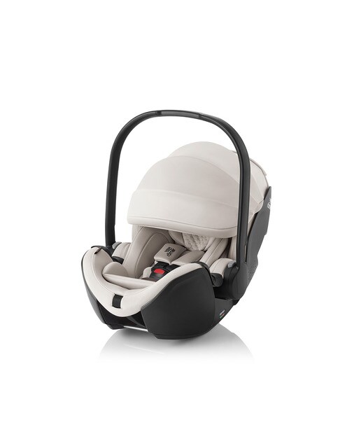Cadeira Auto Baby-Safe Pro - 40-85 cm Castanho-1