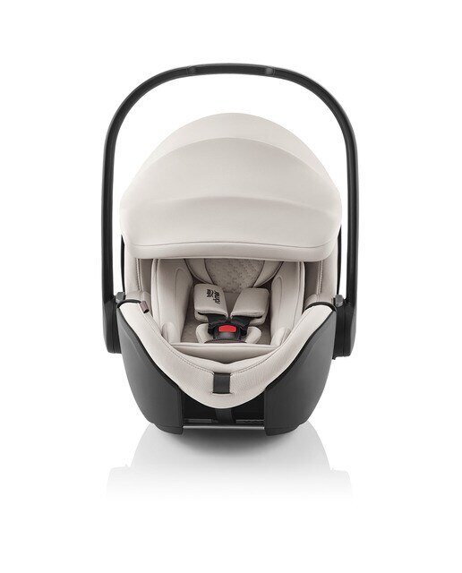 Cadeira Auto Baby-Safe Pro - 40-85 cm Castanho-7