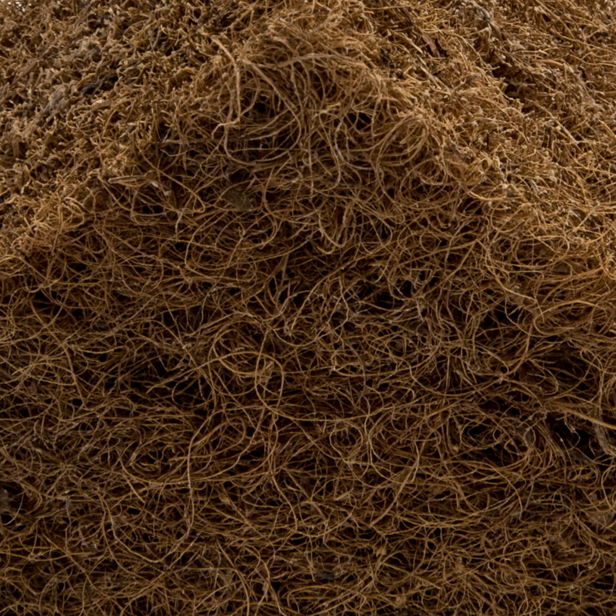 Colchão para Berço de Coco bege Bege-4