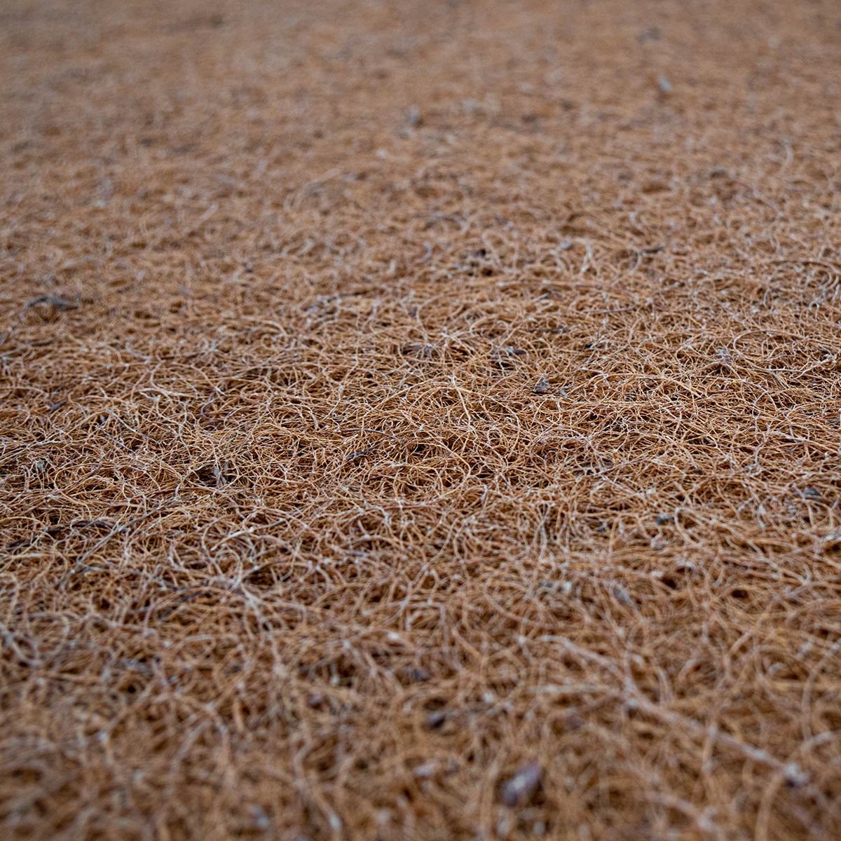 Colchão de Berço de Molas Ensacadas e Fibra de Coco Branco-6