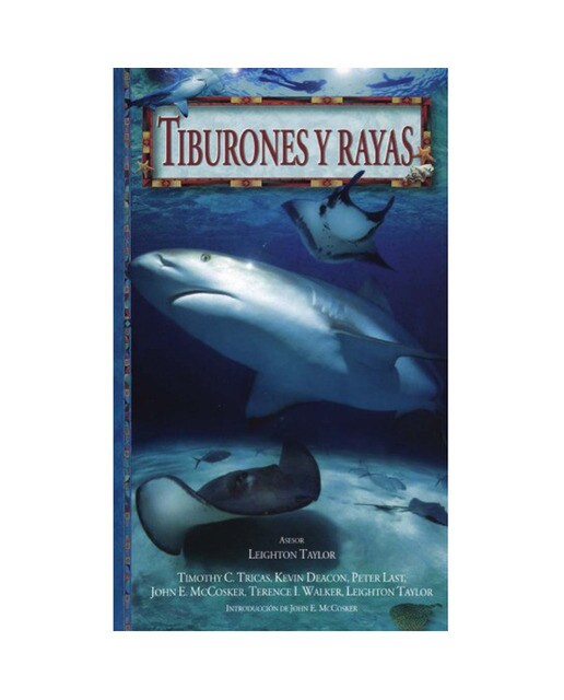 Tiburones Y Rayas 1