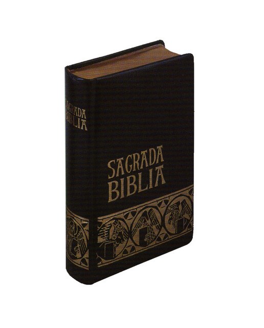 Imagem 0 de Biblia Petisco Bolsillo Mod. 6