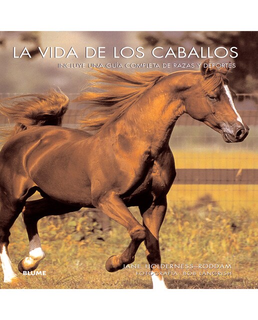 La vida de los caballos (Capa mole com abas) 1