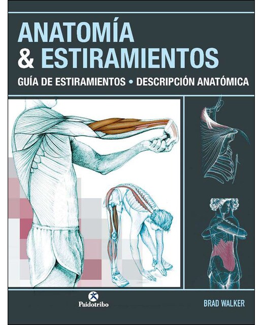 Imagem 0 de Anatomía & estiramientos. Guía de estiramientos. Descripción anatómica (Color) (Capa mole)