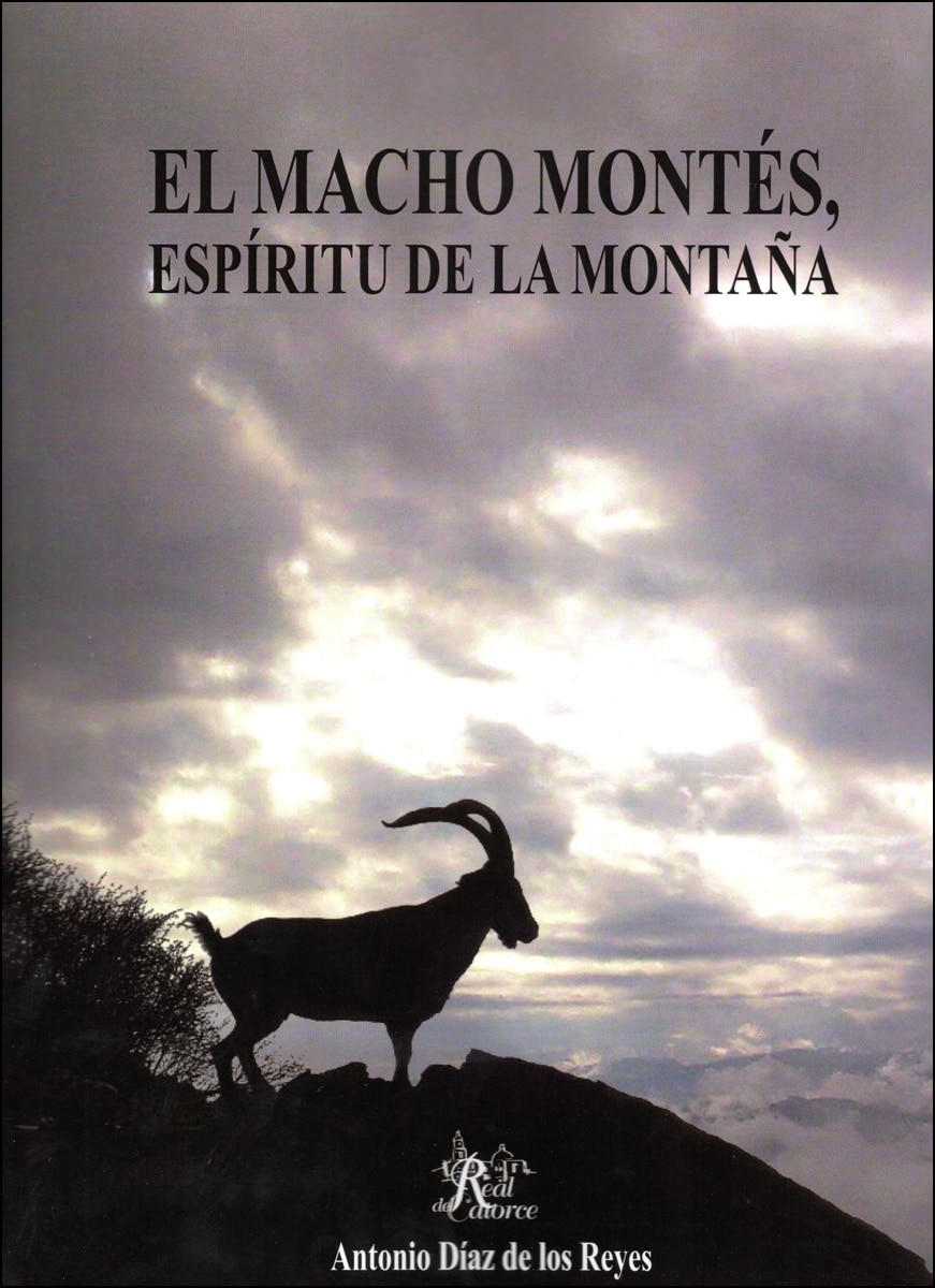 El macho montés, espíritu de la montaña