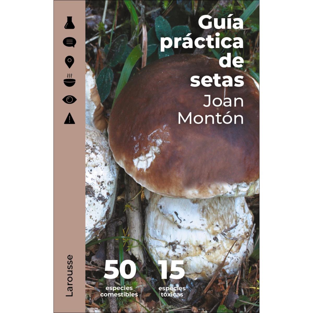 Imagem 0 de Guía práctica de setas(Tapa dura)