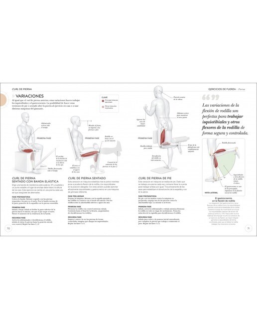 Entrenamiento de fuerza: Mejora tu técnica, evita lesiones, perfecciona tu entrenamiento(Tapa blanda) 3