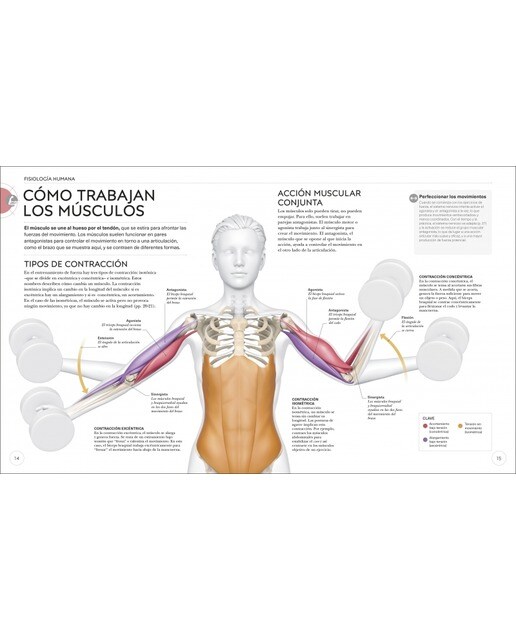 Entrenamiento de fuerza: Mejora tu técnica, evita lesiones, perfecciona tu entrenamiento(Tapa blanda) 4