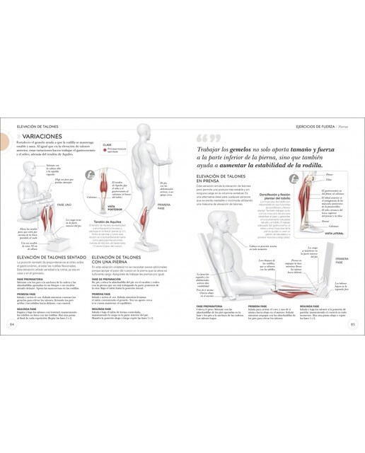 Entrenamiento de fuerza: Mejora tu técnica, evita lesiones, perfecciona tu entrenamiento(Tapa blanda) 5