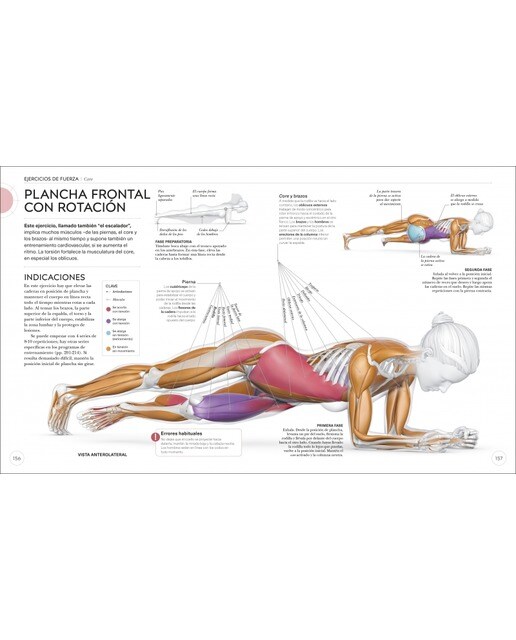 Entrenamiento de fuerza: Mejora tu técnica, evita lesiones, perfecciona tu entrenamiento(Tapa blanda) 6