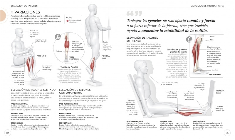 Entrenamiento de fuerza: Mejora tu técnica, evita lesiones, perfecciona tu entrenamiento(Tapa blanda) 8