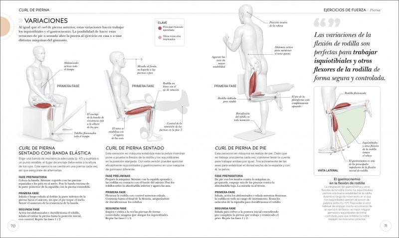 Entrenamiento de fuerza: Mejora tu técnica, evita lesiones, perfecciona tu entrenamiento(Tapa blanda) 9