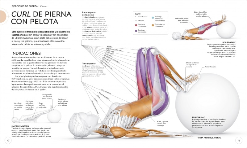 Entrenamiento de fuerza: Mejora tu técnica, evita lesiones, perfecciona tu entrenamiento(Tapa blanda) 10