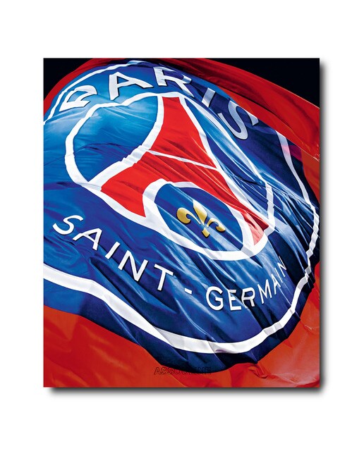 Paris saint-germain (french) 2