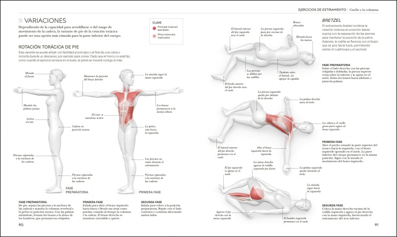 Estiramientos: Potencia tu flexibilidad, mantente activo y evita lesiones  (Tapa blanda) 3