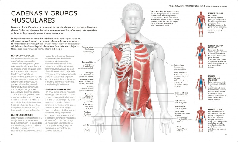 Estiramientos: Potencia tu flexibilidad, mantente activo y evita lesiones  (Tapa blanda) 4