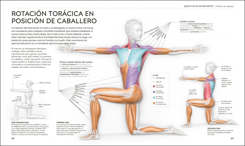 Estiramientos: Potencia tu flexibilidad, mantente activo y evita lesiones  (Tapa blanda) 6