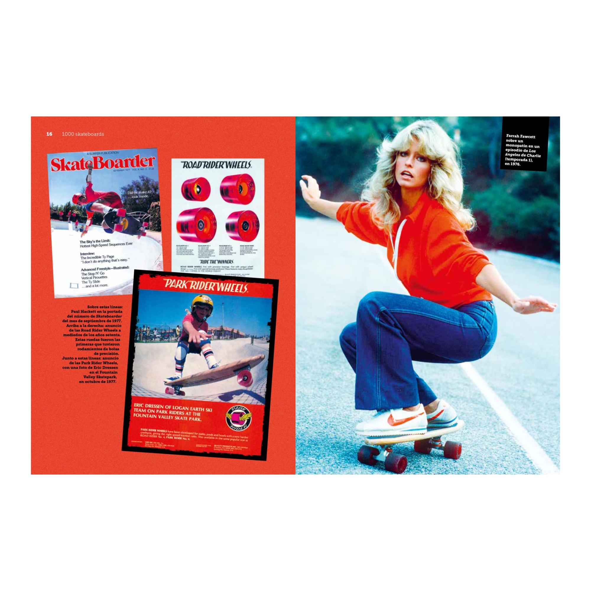 1.000 skateboards (Capa mole com abas) 5