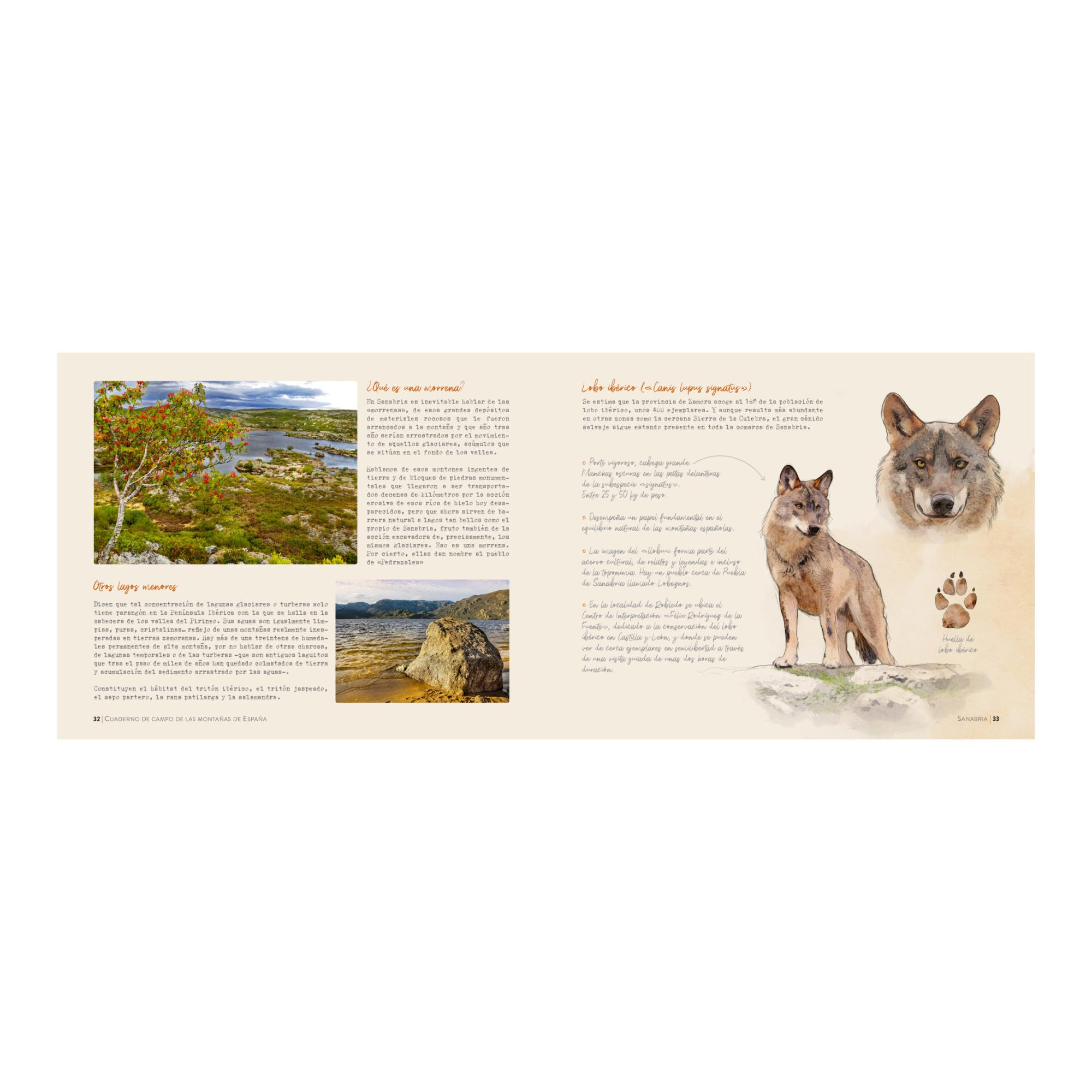 Cuaderno de campo de las montañas de España (Capa mole com abas) 2