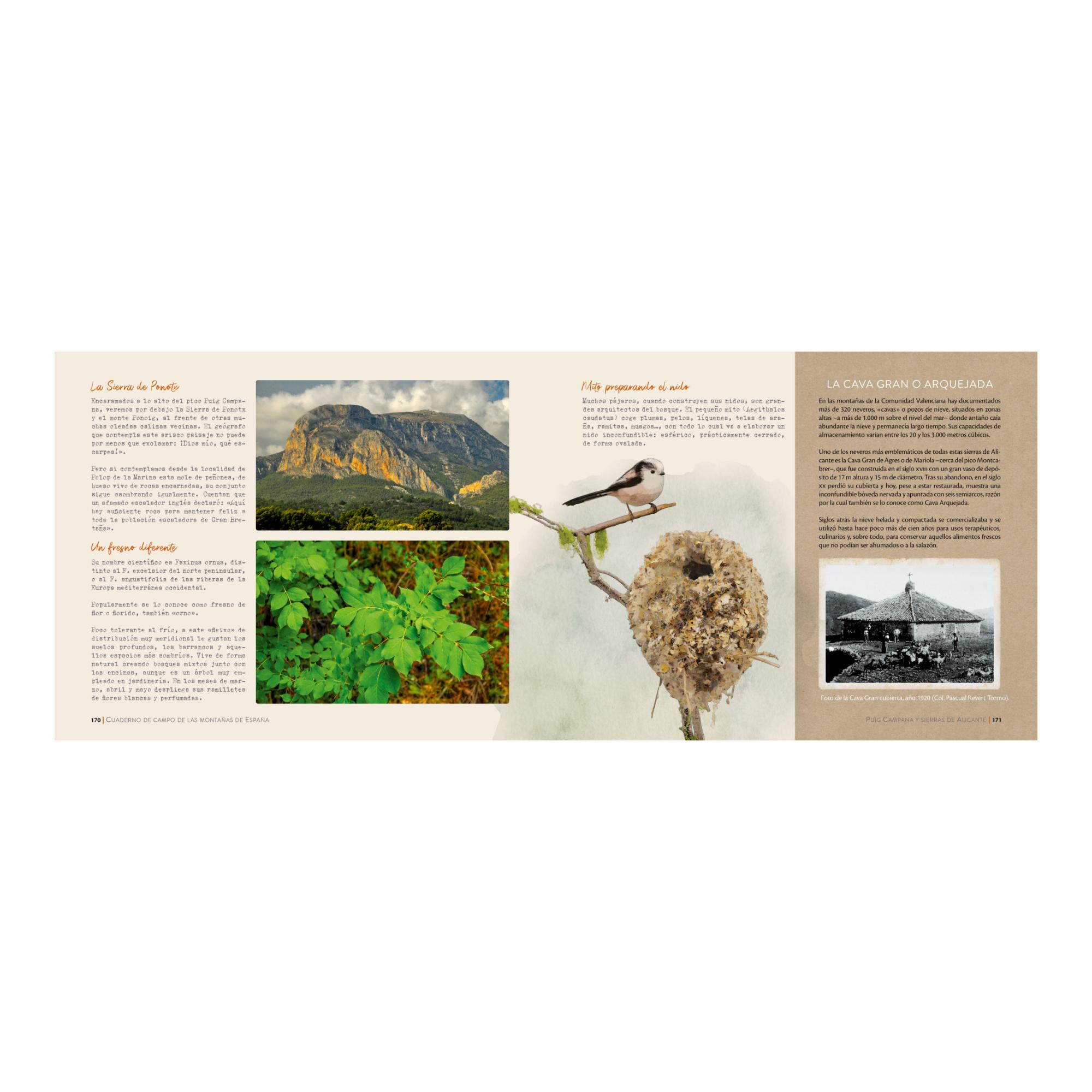 Cuaderno de campo de las montañas de España (Capa mole com abas) 5