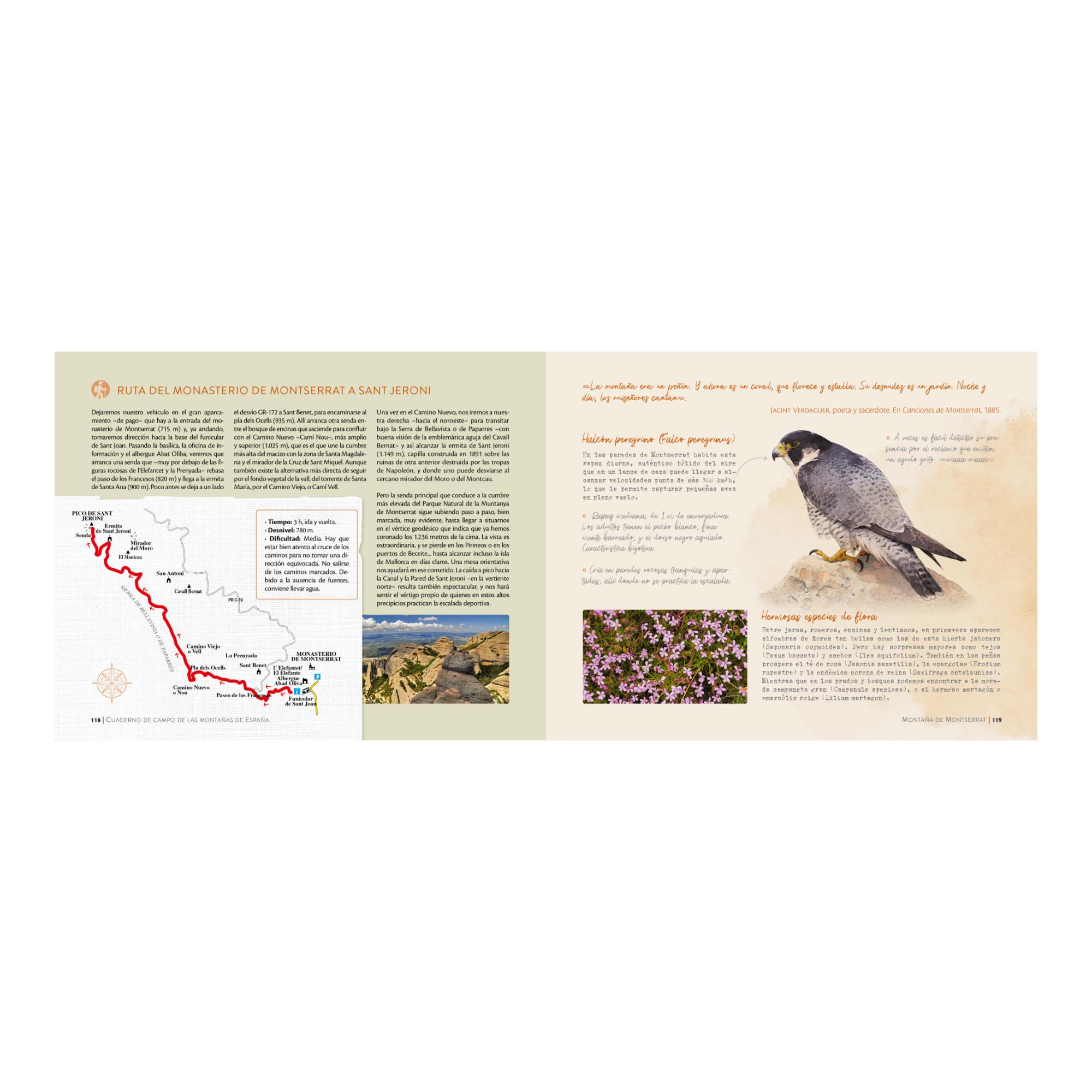 Cuaderno de campo de las montañas de España (Capa mole com abas) 6