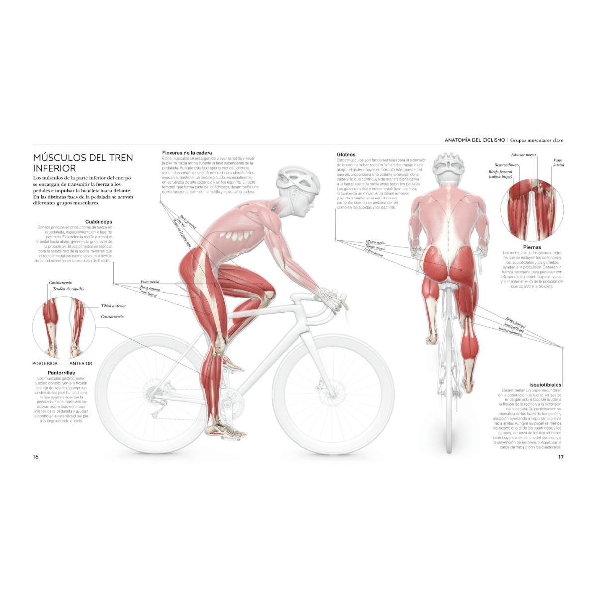 CICLISMO (Capa Mole) 4