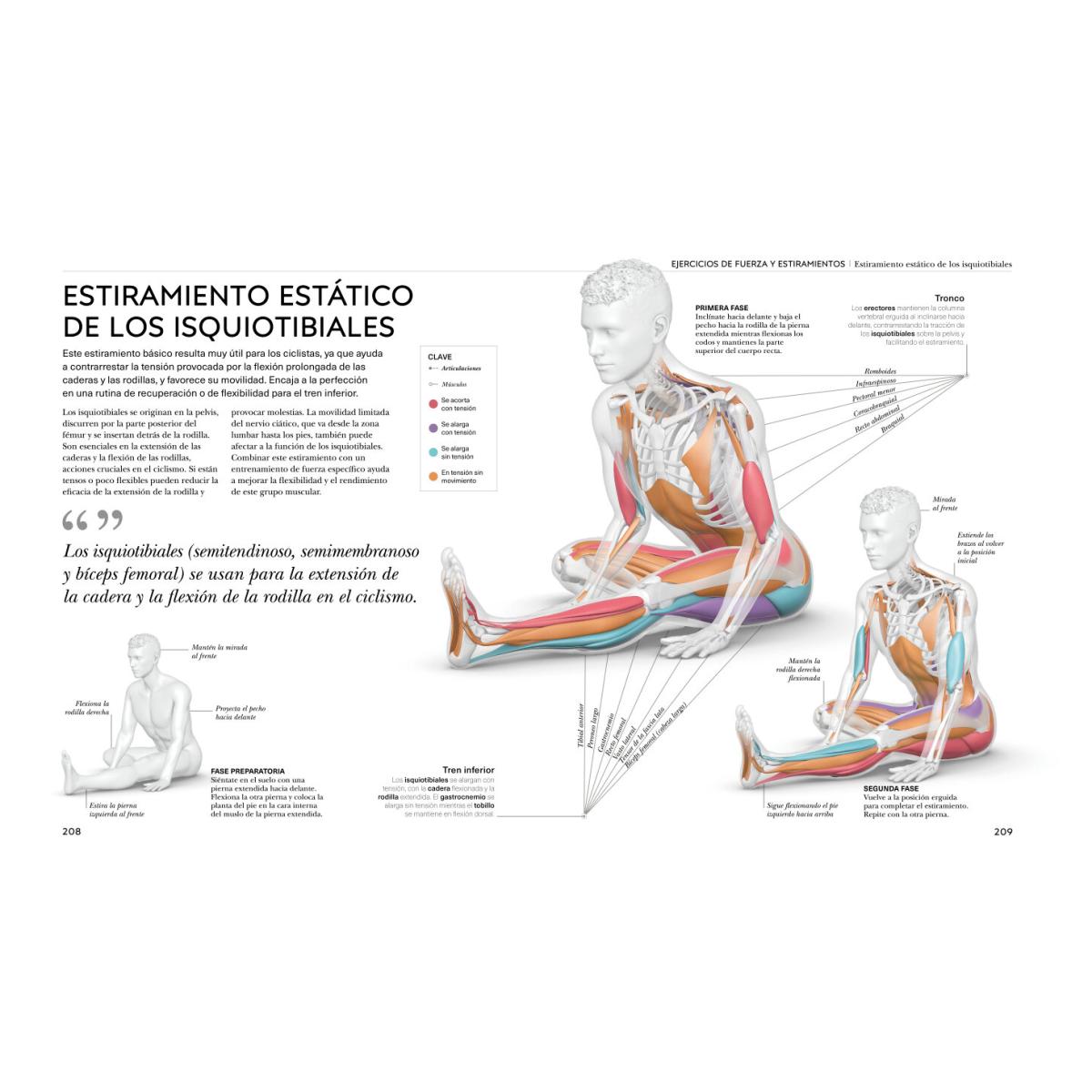 CICLISMO (Capa Mole) 8