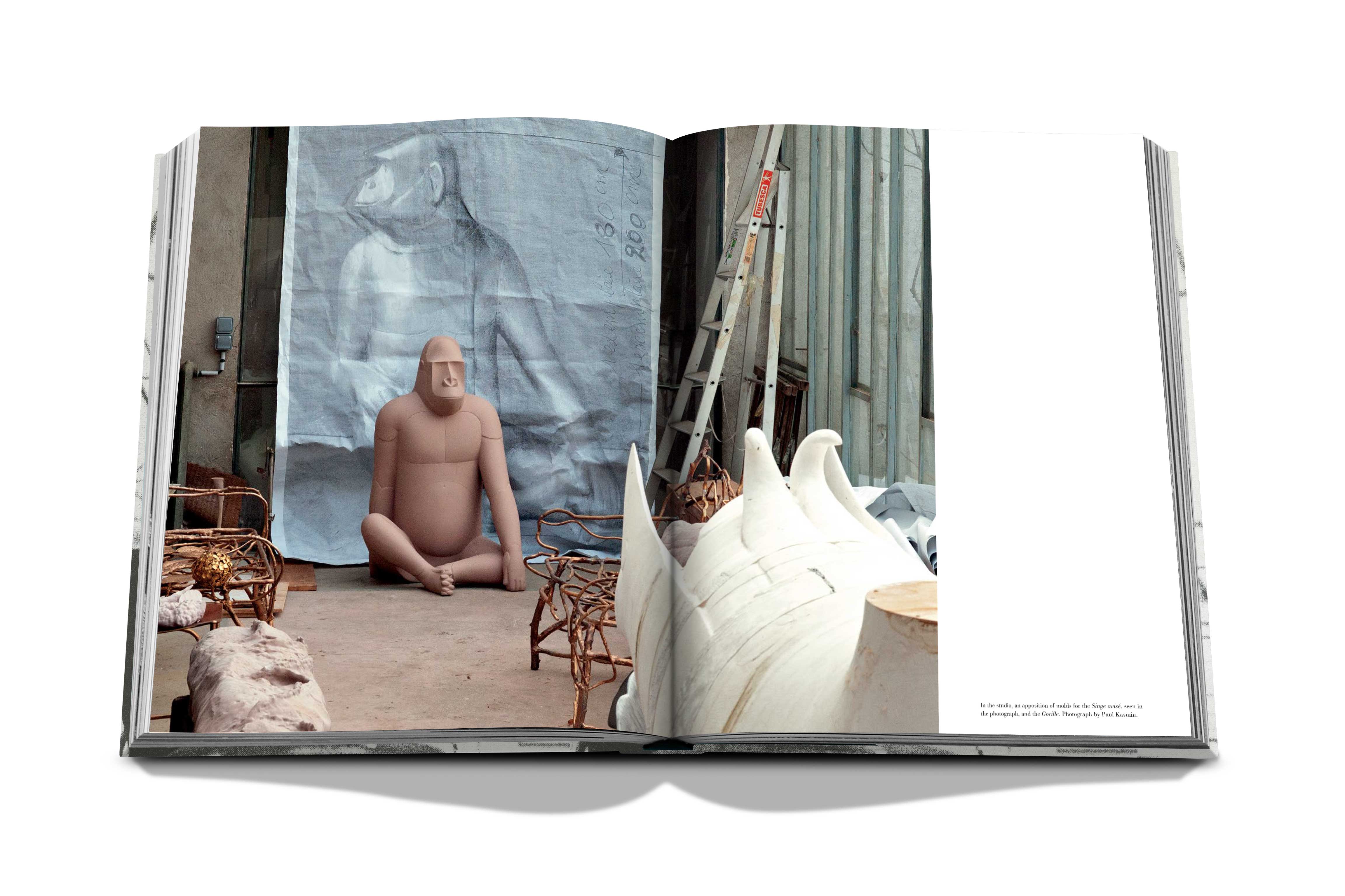 Lalanne 9