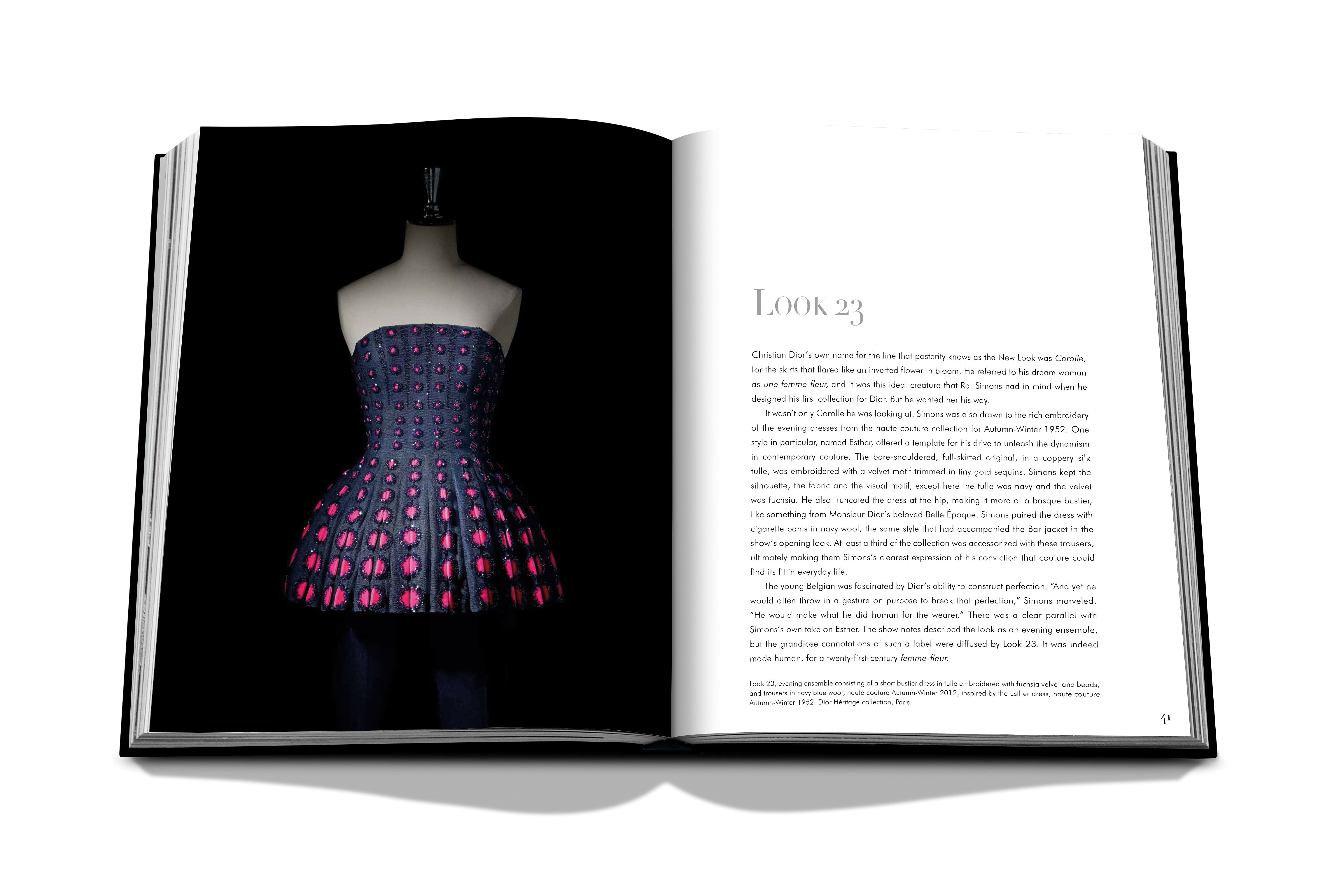 Dior by raf simons 5