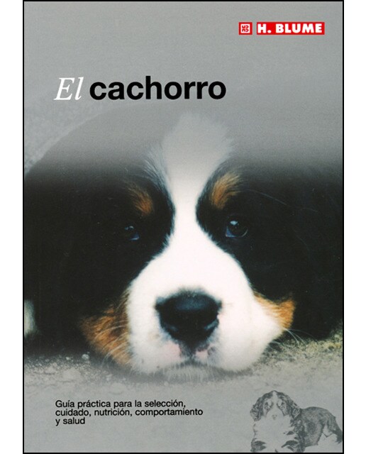 El cachorro 1