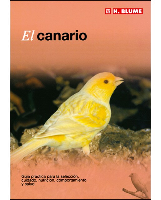 El canario 1
