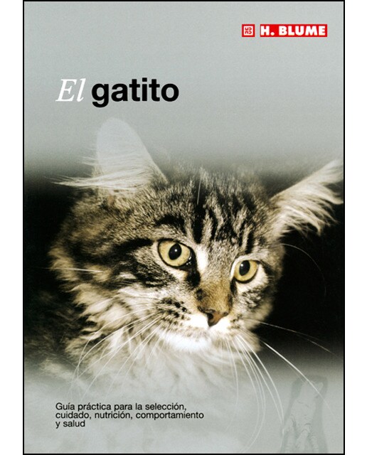 El gatito 1
