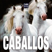 Caballos xl